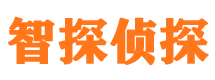 覃塘外遇出轨调查取证